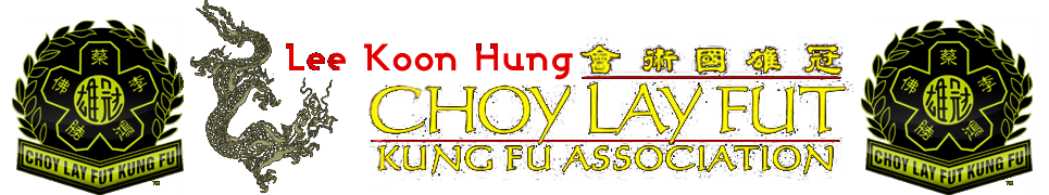 Lee Koon Hung Choy Lay Fut Kung Fu