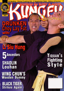 kung-fu-mag-usa